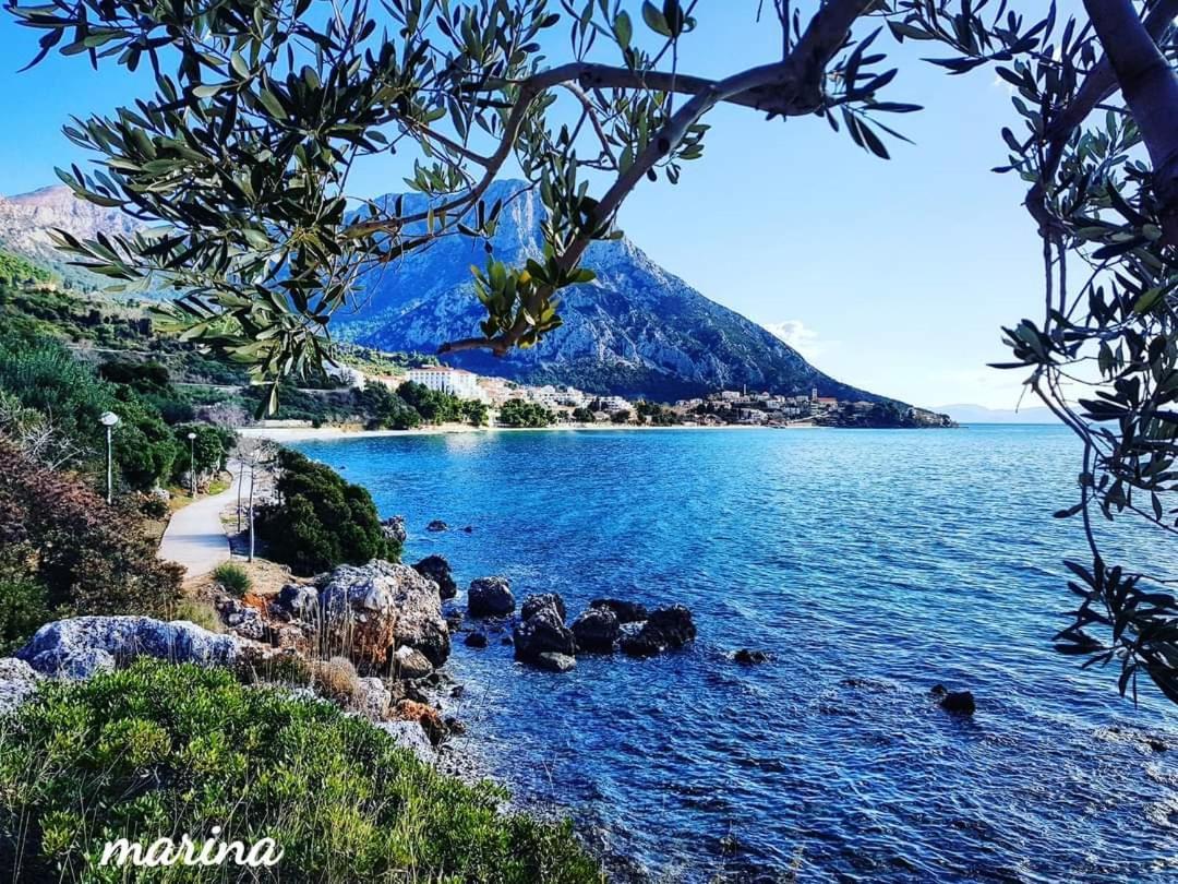 Apartmani Marina Gradac Gradac  Buitenkant foto
